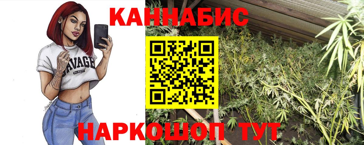 Марихуана гибрид  Вход с VPN  Салехард  Конопля индика  Марихуана SATIVA & INDICA 